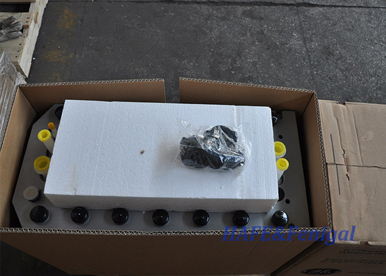Veolia E Cell Edi Module การบําบัดน้ําสําหรับน้ําที่บริสุทธิ์มาก